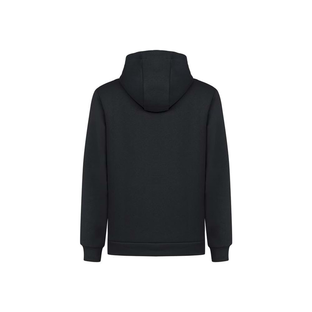 Erkek Sweatshirt Pamuklu Standart Fit Normal Kesim İçi Polarlı 2 İplik Kapüşonlu