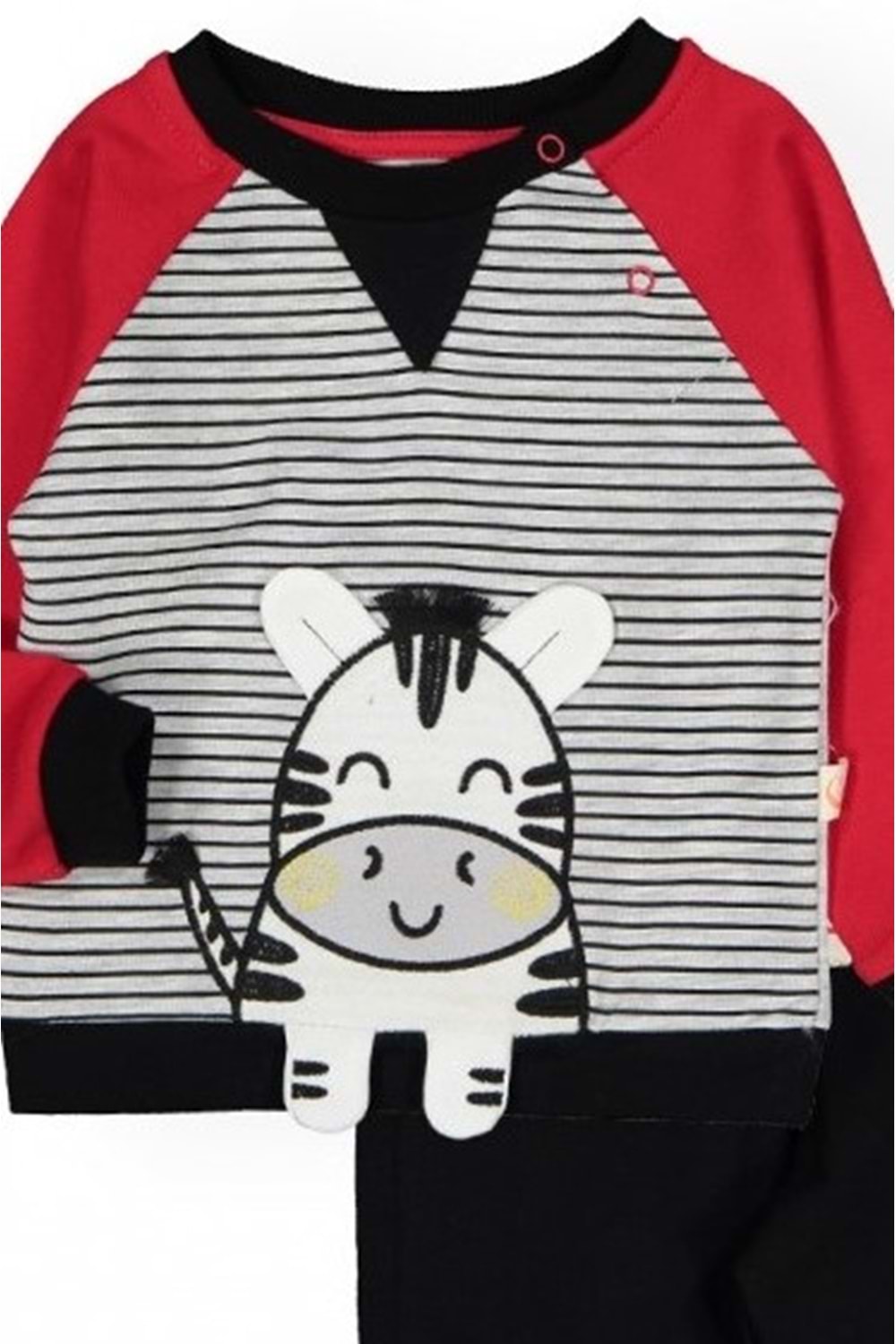 İçi Polarlı Zebra Motif Erkek Bebek Takım
