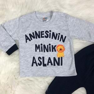 Annesinin Minik Aslanı 3 Ay Erkek Bebek Takım