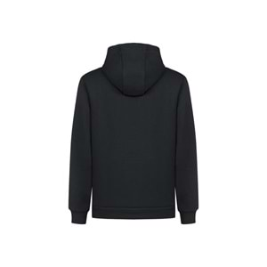 Erkek Sweatshirt Pamuklu Standart Fit Normal Kesim İçi Polarlı 2 İplik Kapüşonlu