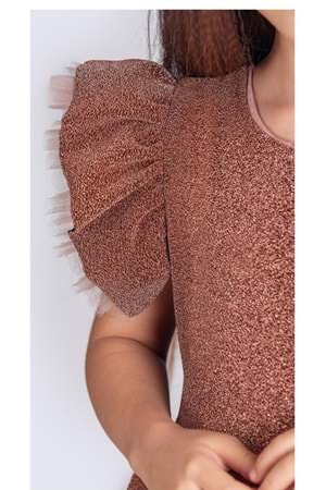 Simli Şanzelize Kız Çocuk Abiye Elbise M00669