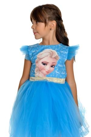 Kız Çocuk Parti Kostüm Elbisesi M00674