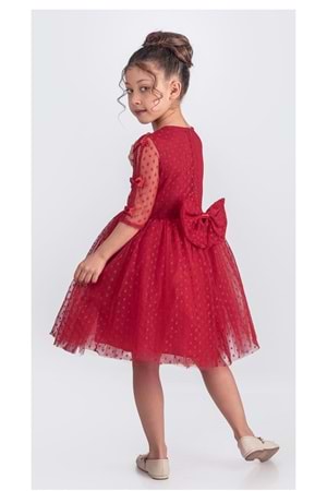 Dantel Puanlı, Uzun Kol Prenses Kız Çocuk Elbise M00707