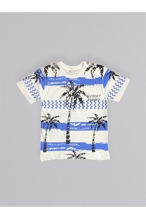 Baskılı Erkek Çocuk Tişört Şortlu Takım M00715