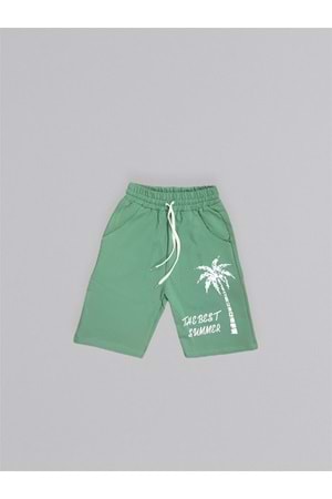 Baskılı Erkek Çocuk Tişört Şortlu Takım M00715