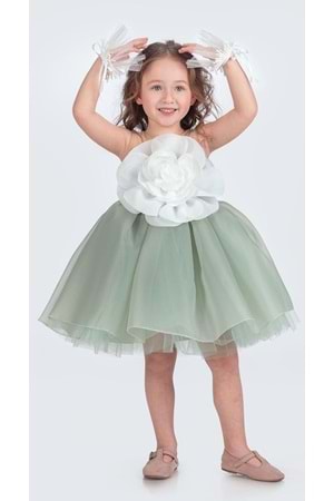 Karolin Robası Çiçekli Bilekli Aksesuarlı Kız Çocuk Abiye Elbise M00724