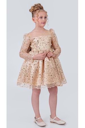 Ruche Lipa Kız Çocuk Abiye M00783