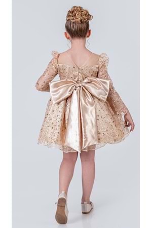 Ruche Lipa Kız Çocuk Abiye M00783