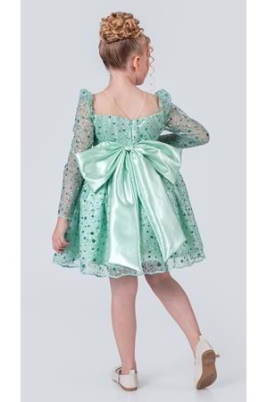 Ruche Lipa Kız Çocuk Abiye M00783