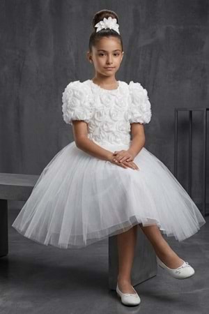 Luvia Kısa Kol Kız Tütü Abiye Elbise M00811