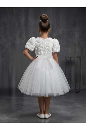 Luvia Kısa Kol Kız Tütü Abiye Elbise M00811