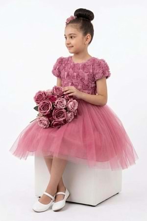 Luvia Kısa Kol Kız Tütü Abiye Elbise M00811