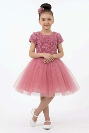 Luvia Kısa Kol Kız Tütü Abiye Elbise M00811