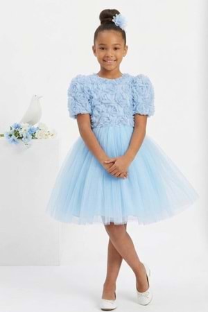 Luvia Kısa Kol Kız Tütü Abiye Elbise M00811