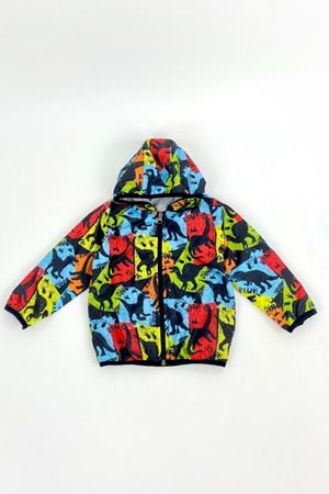 Renkli Dinozor Kapşonlu Yağmurluk Erkek