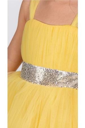 Sırt Gipeli Tütü Etek Kız Çocuk Saten Parti Abiye Elbise MNK0340