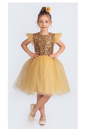 Tüllü Kız Çocuk KPL Elbise MNK0526