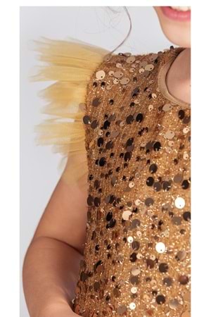 Tüllü Kız Çocuk KPL Elbise MNK0526