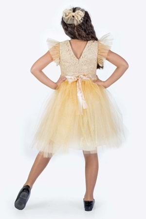 Roza Dantel Tütü Kız Çocuk Abiye Elbise MNK0546