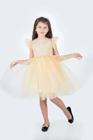 Roza Dantel Tütü Kız Çocuk Abiye Elbise MNK0546