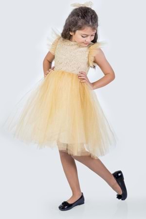 Roza Dantel Tütü Kız Çocuk Abiye Elbise MNK0546