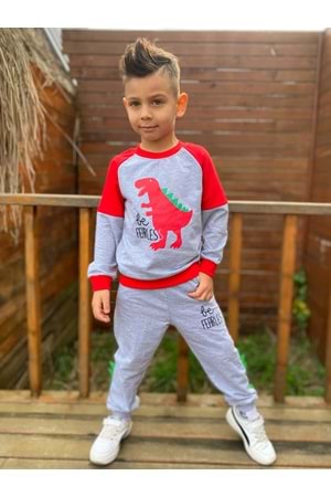 Dinozor Motif İkiiplik Kumaş Çocuk Eşofman MNK0564