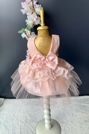 Kat Dantelli Gül Motif Kız Bebek Elbise PNPN159