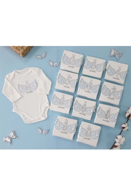 Erkek Bebek Melek Kanat Hatıra Body Set 0/12 Ay PNPN1367