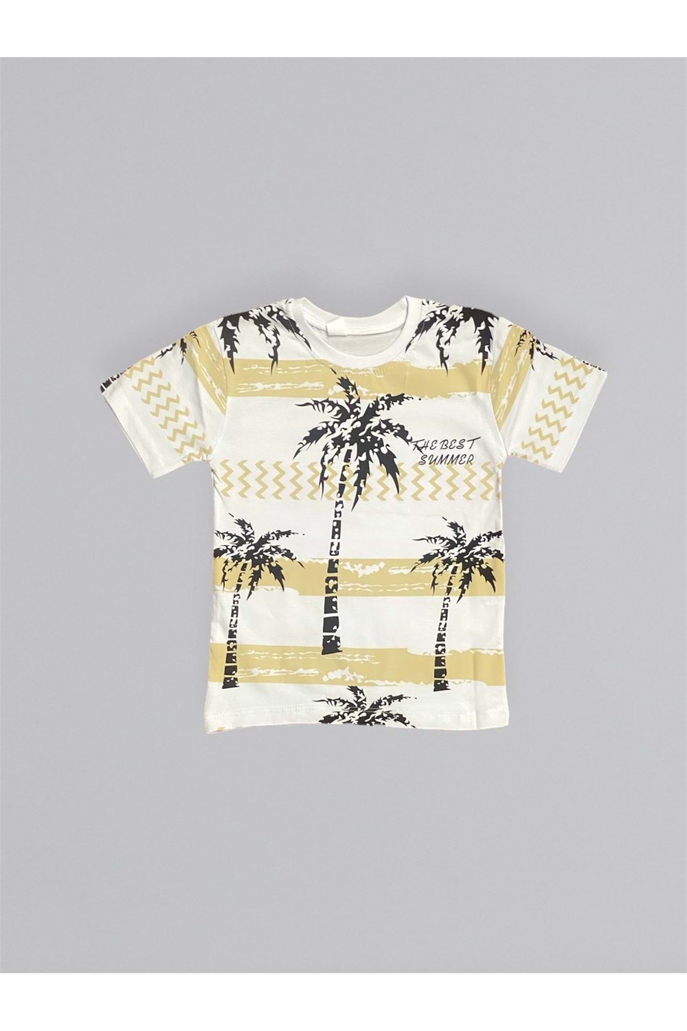 Baskılı Erkek Çocuk Tişört Şortlu Takım M00715