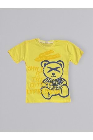 Baskılı Erkek Çocuk Tişört Şortlu Takım M00715