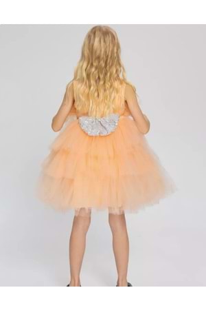 Saten Kumaş , Tütülü Nimfea Kız Çocuk Abiye Elbise MNK0597